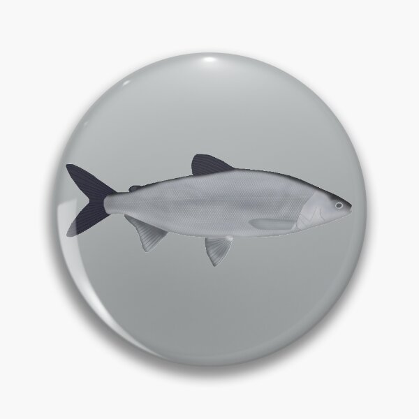 Item preview, Maraene Whitefish designed and sold by fishfolkart.