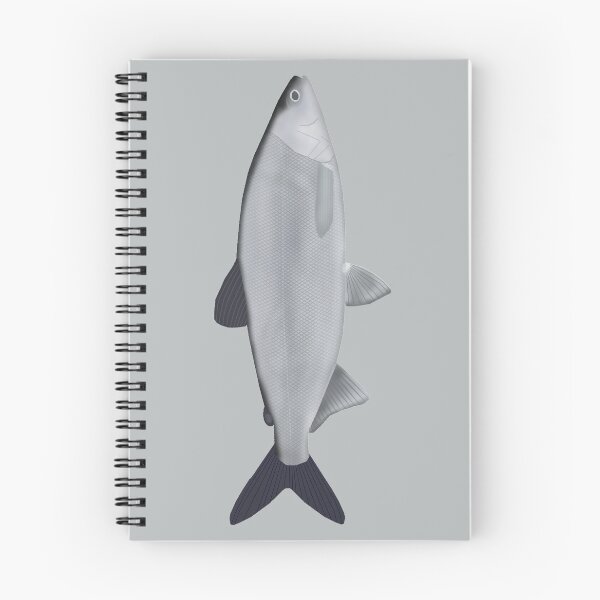 Item preview, Maraene Whitefish designed and sold by fishfolkart.