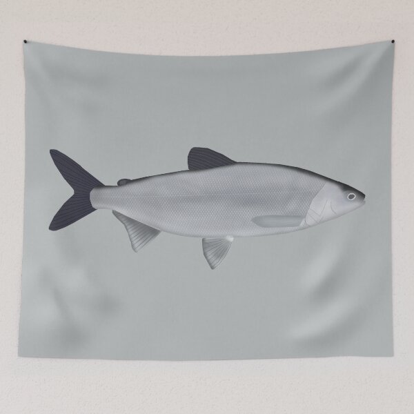 Item preview, Maraene Whitefish designed and sold by fishfolkart.