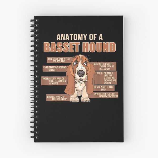Item preview, Anatomy Of A Basset Hound Funny Dogs Lover  designed and sold by beatabea.