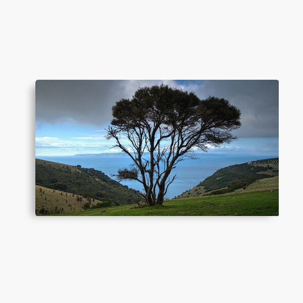Item preview, Tree with a View designed and sold by Dean Wiles.