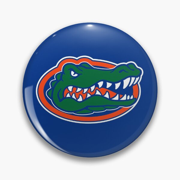 Pin by NONNIE on FLORIDA GATORS  Florida gators baseball, Gator