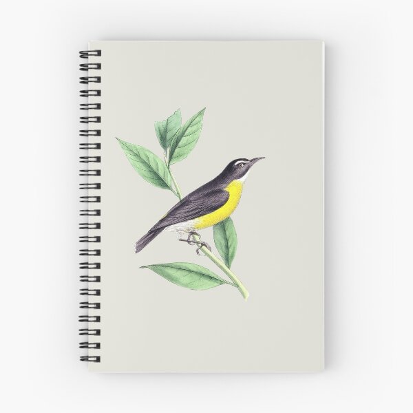 Item preview,  Bird designed and sold by HanaFly.