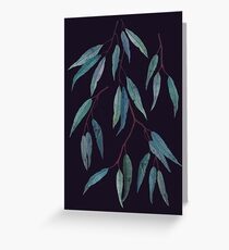 Eucalyptus leaves Greeting Card
