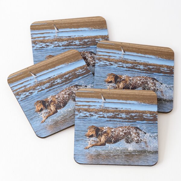 Item preview, Aqua dog .4 designed and sold by Alex Preiss.
