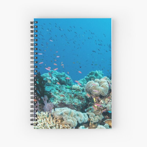 Schoolhouse Reef Spiral Notebook