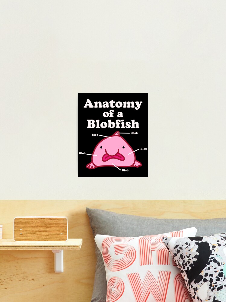 Anatomy of A Blobfish Funny Ugly Fish Meme Photographic Print for Sale by  Charles Brian