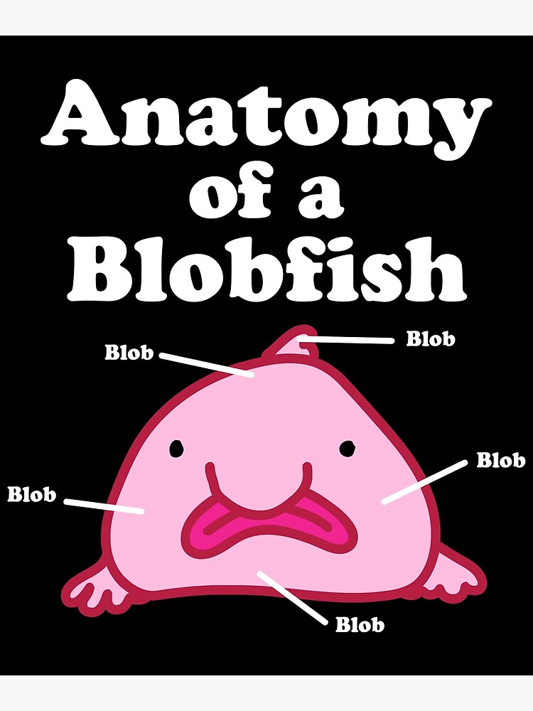 Anatomy of A Blobfish Funny Ugly Fish Meme Photographic Print for Sale by  Charles Brian