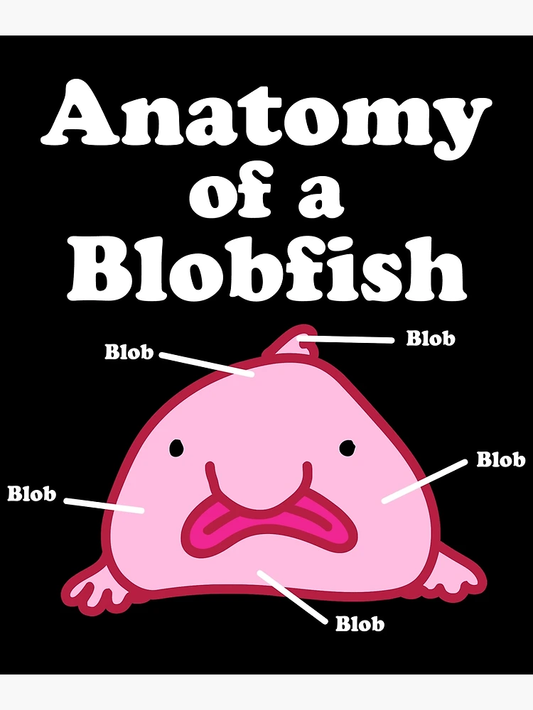 Memes - Quarantine blob fish #confused #perspective