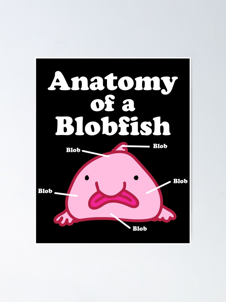 Anatomy Of A Blobfish | Funny Ugly Fish Meme | Poster