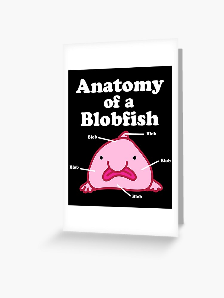 Anatomy of A Blobfish Funny Ugly Fish Meme Photographic Print for Sale by  Charles Brian