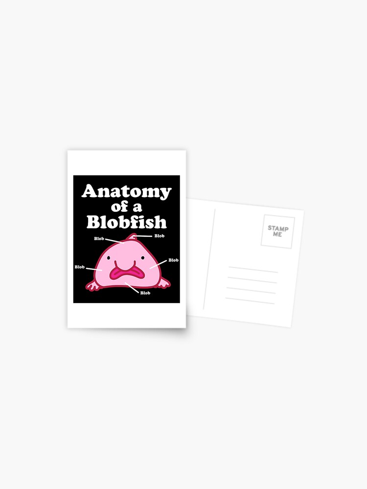 Anatomy of A Blobfish Funny Ugly Fish Meme Photographic Print for Sale by  Charles Brian