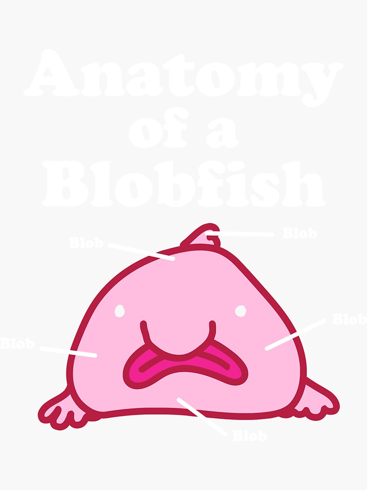 Anatomy of A Blobfish Funny Ugly Fish Meme Photographic Print for Sale by  Charles Brian