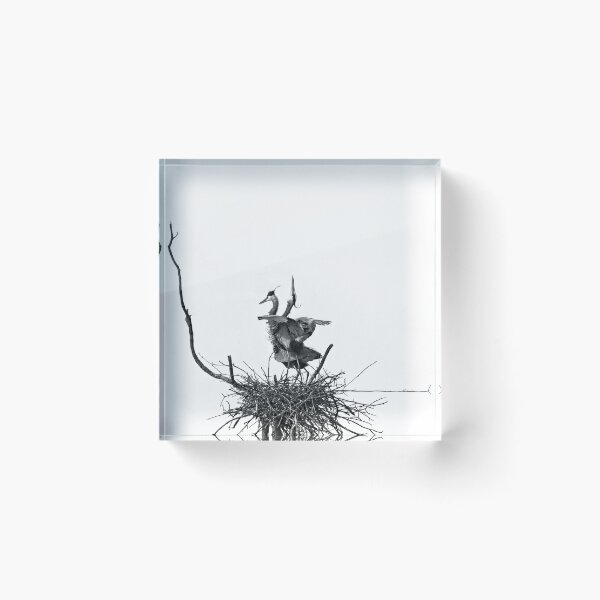 Artikelvorschau, Graureiher, WI 2BW entworfen und verkauft von StevenRalserPhoto.