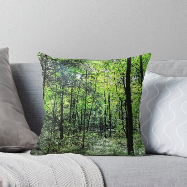 Item preview, Sun shining though trees designed and sold by FactorFourPhoto.