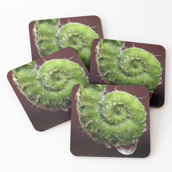 Item preview, Unfurling designed and sold by StampCity.