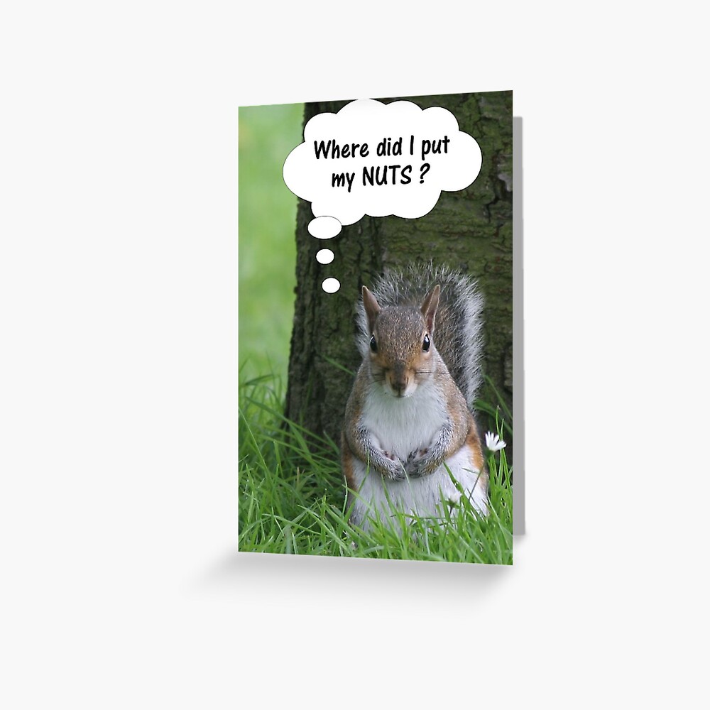 Squirrel - where are my nuts? Greeting Card