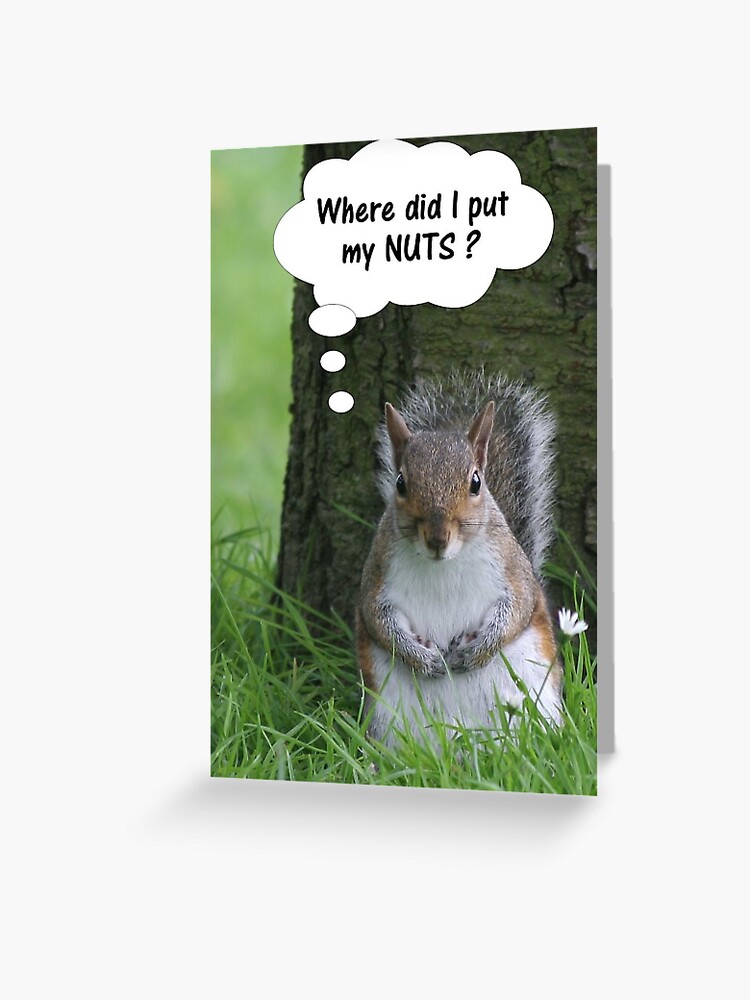 Thumbnail 1 of 2, Greeting Card, Squirrel - where are my nuts? designed and sold by hartrockets.