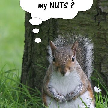 Artwork thumbnail, Squirrel - where are my nuts? by Pete’s Digital Canvas