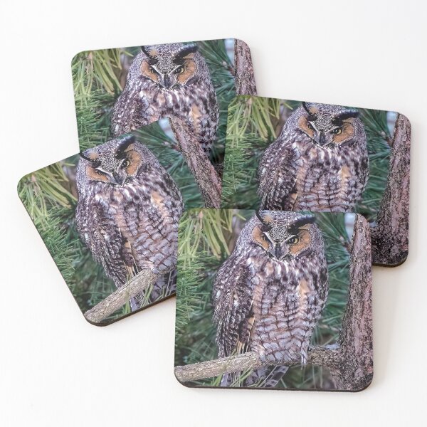 Item preview, Long Eared Owl designed and sold by Kevin Komiega.