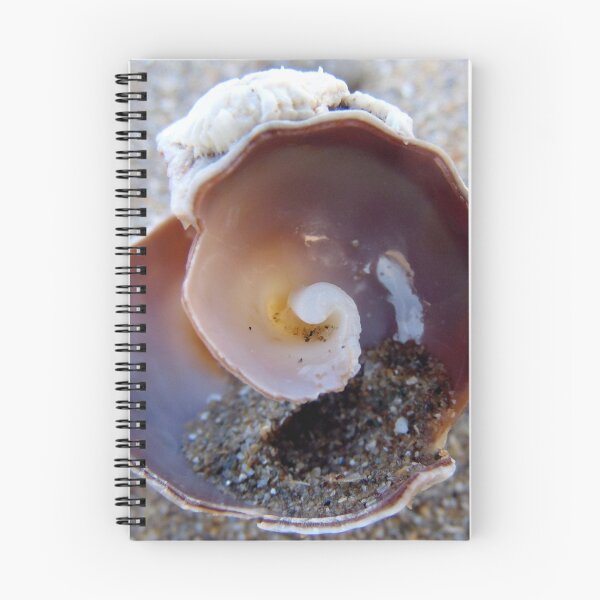 Item preview, shell designed and sold by KathleenDawson.