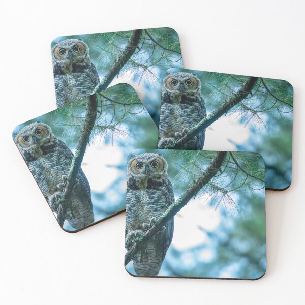 Item preview, A Great Horned Owl's Hypno-gaze designed and sold by Kevin Komiega.