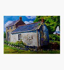 Forget-me-not, Aunt Ritas Old Cottage, Ballylumford, Islandmagee. Photographic Print