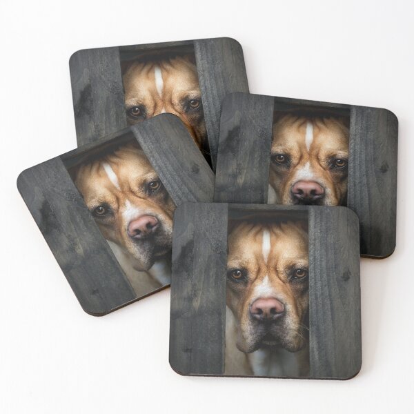 Item preview, Here's Johnny! designed and sold by Carrie Southerton Dog Photography.