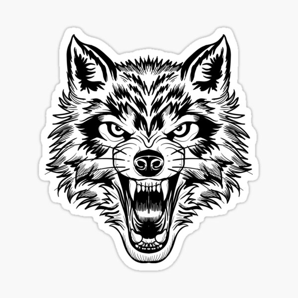 Line art Whiskers Sketch angry wolf face mammal carnivoran png  PNGEgg