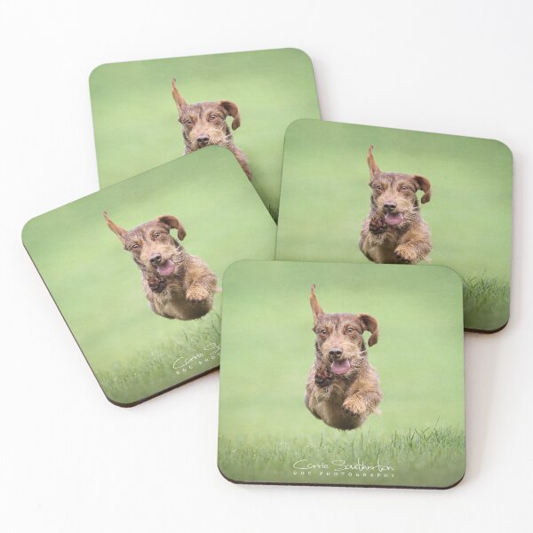 Item preview, Flying Dachshund designed and sold by Carrie Southerton Dog Photography.
