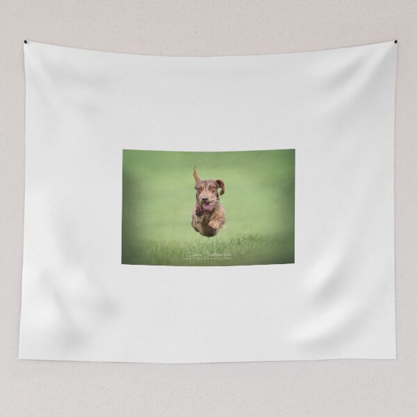 Item preview, Flying Dachshund designed and sold by Carrie Southerton Dog Photography.