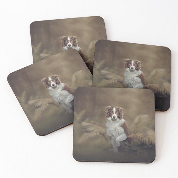 Item preview, Border Collie in the field designed and sold by Carrie Southerton Dog Photography.
