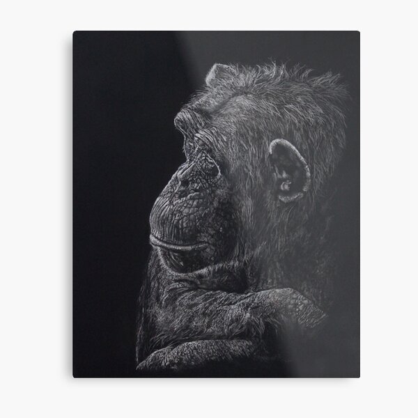 Wisdom Metal Print