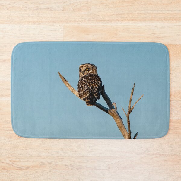 Item preview, Perched Short Eared Owl designed and sold by Kevin Komiega.