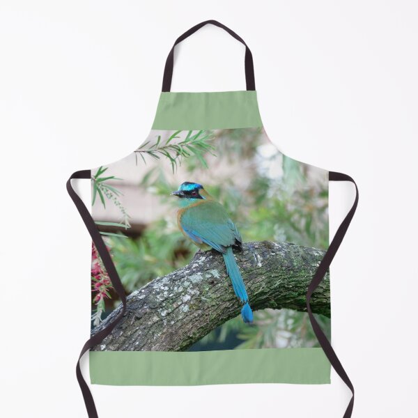 Item preview, Blue-Crowned Mot Mot designed and sold by PaulinaS.