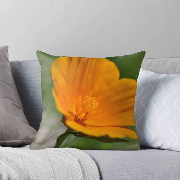 Aperçu de l'œuvre Californian Poppy  créée et vendue par Kelly Eaton.