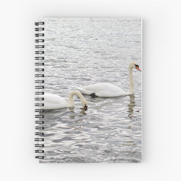 Item preview, Romantic couple of swans on the Baltic sea designed and sold by lena-maximova.