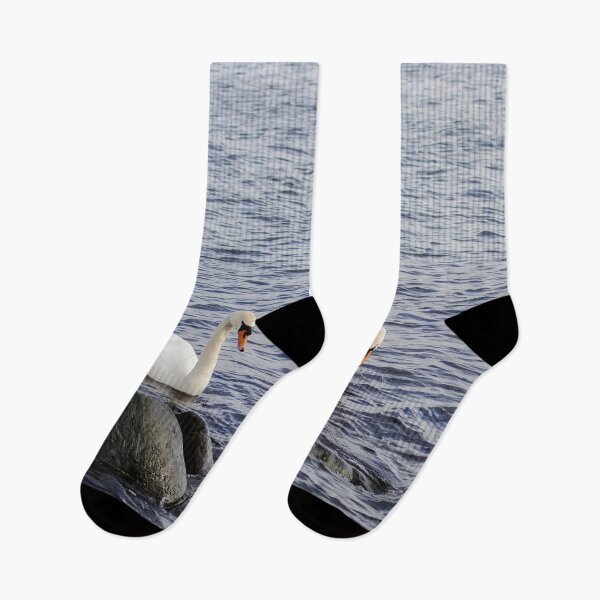 Item preview, Romantic couple of swans on the Baltic sea designed and sold by lena-maximova.