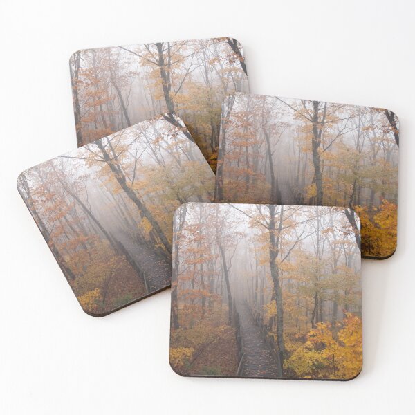 Item preview, A Hiking Boardwalk in Michigan Disappears into Thick Fog designed and sold by Sam Wagner.
