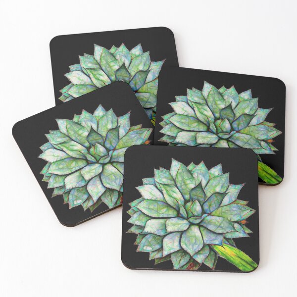 Item preview, black spined agave – agave macroacantha ¦ designed and sold by nature. electrified..