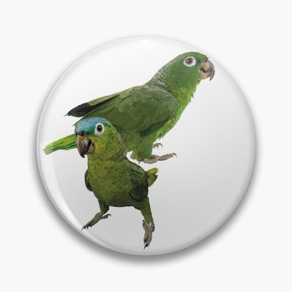 Item preview, blue-crowned parrot designed and sold by obscurite.