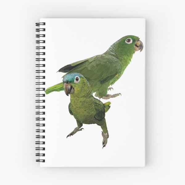 Item preview, blue-crowned parrot designed and sold by obscurite.