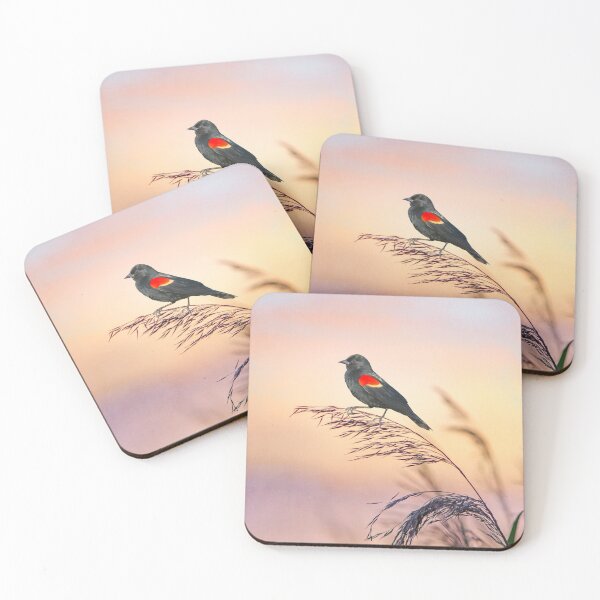 Item preview, Red Winged Blackbird Sunset designed and sold by FineArtography.
