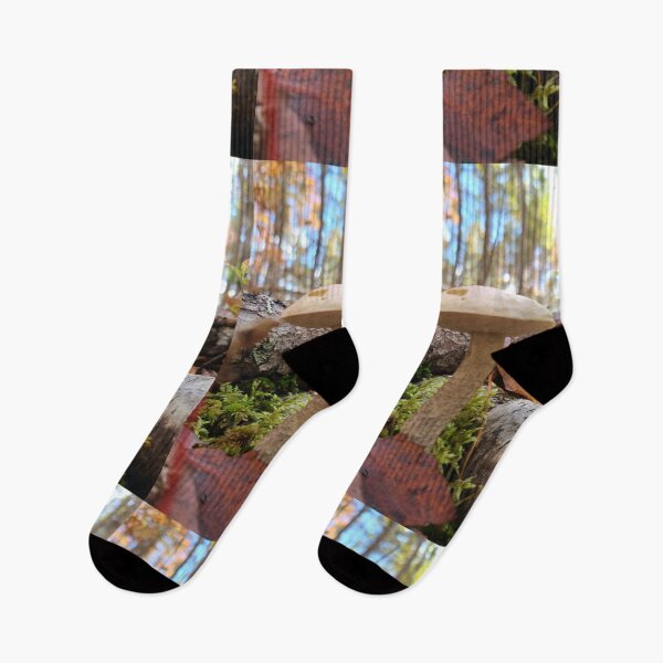 Item preview, Seta en el bosque designed and sold by Totallyalive.