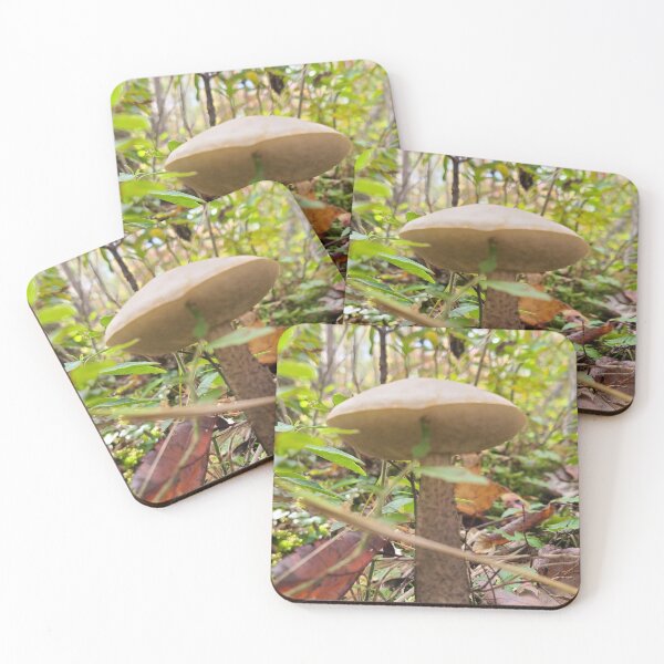 Artikelvorschau, Pilz im Wald entworfen und verkauft von Totallyalive.