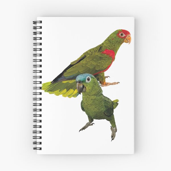 Item preview, Parrots designed and sold by obscurite.