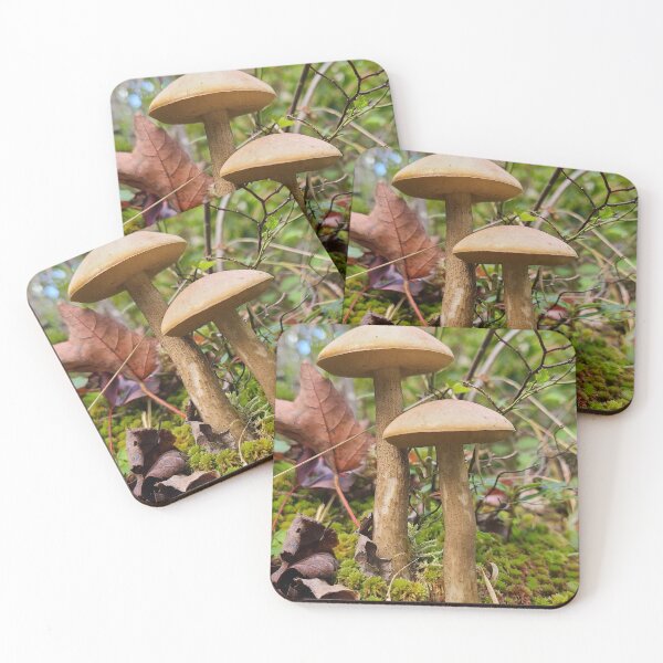 Artikelvorschau, Pilz im Wald entworfen und verkauft von Totallyalive.