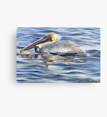 Cedar Point Pelican Metal Print