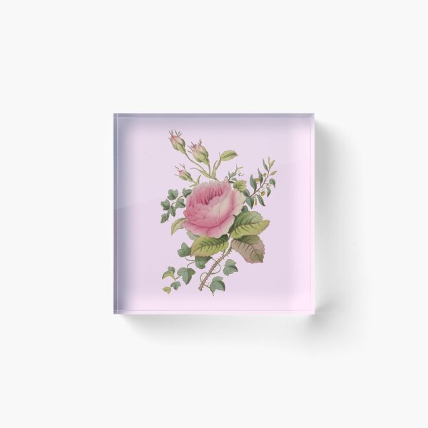Item preview, Pink Rose designed and sold by MyTshirtArt.