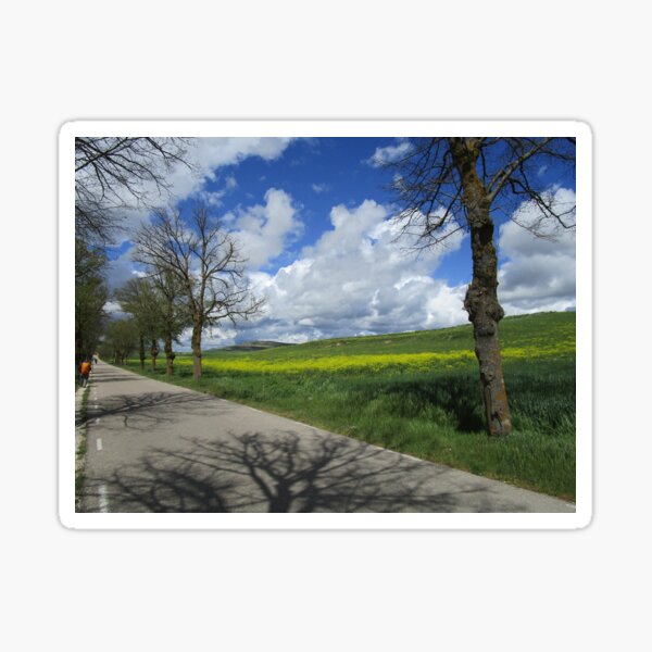 Walking La Meseta Sticker